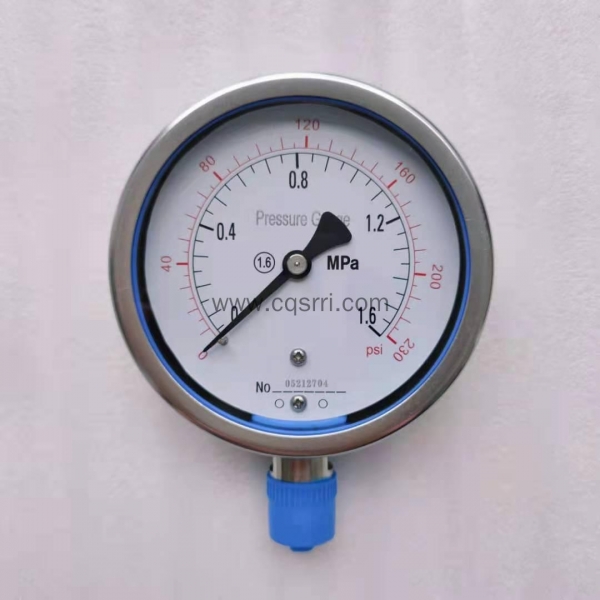 Pressure Gauge